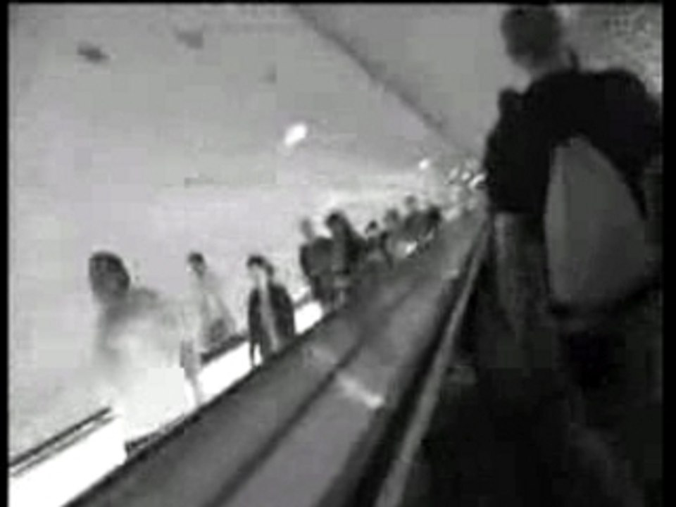 Daily motion montparnasse