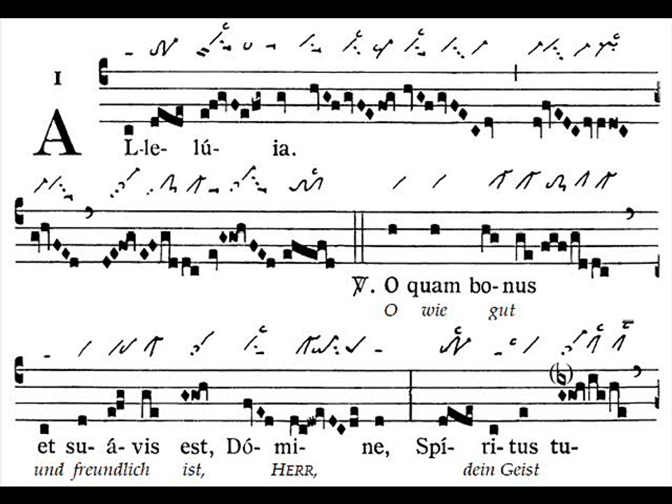 Alleluia O quam bonus, Dominica XXXI TpA (31 TO)