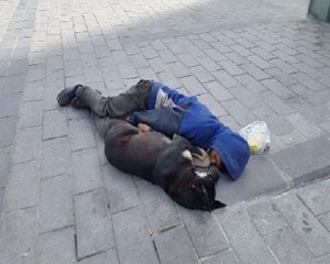 Taksim'de  İlgi Çeken Görüntü: En Yakın Dostları Köpekler