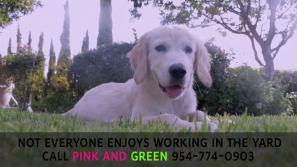 Southwest Ranches Lawn Care Service