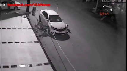 Bầy chó hoang tấn công xe hơi