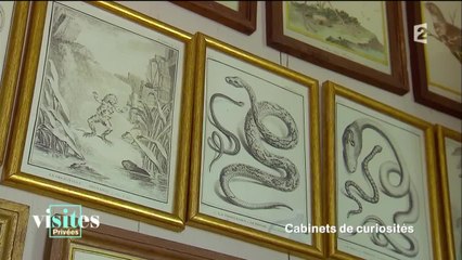 Buffon, le visionnaire des sciences de la nature - Visites privées