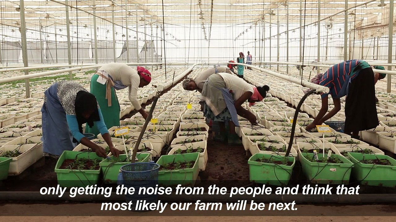 Foreign factories and farms targeted by Ethiopia protesters
