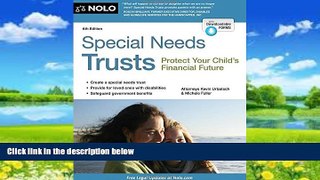Big Deals  Special Needs Trusts: Protect Your Child s Financial Future  Full Ebooks Best Seller