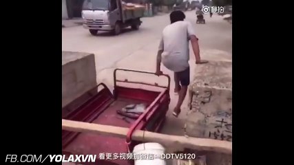 2016 Troll Funny - engraçado - komik - مضحك - gracioso [Part 14]