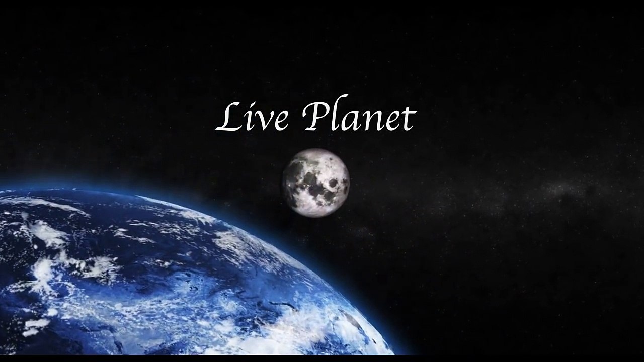 Craziest Animal Fights #9 | The attack eagles - eagles attacking ibexes and wolves