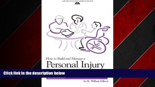 READ book  How to Build and Manage a Personal Injury Practice (ABA Law Practice Management