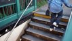 Nesta estação de metro acontece todos os dias a mesma coisa… Fica de olho nas pessoas que estão a subir as escadas!