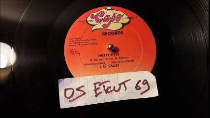 T. SKI VALLEY-VALLEY STYLE(RIP ETCUT)CAPO REC 80's