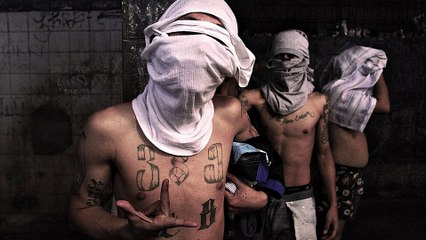 Grashoper - Geto deca (Official AUDIO 2013)