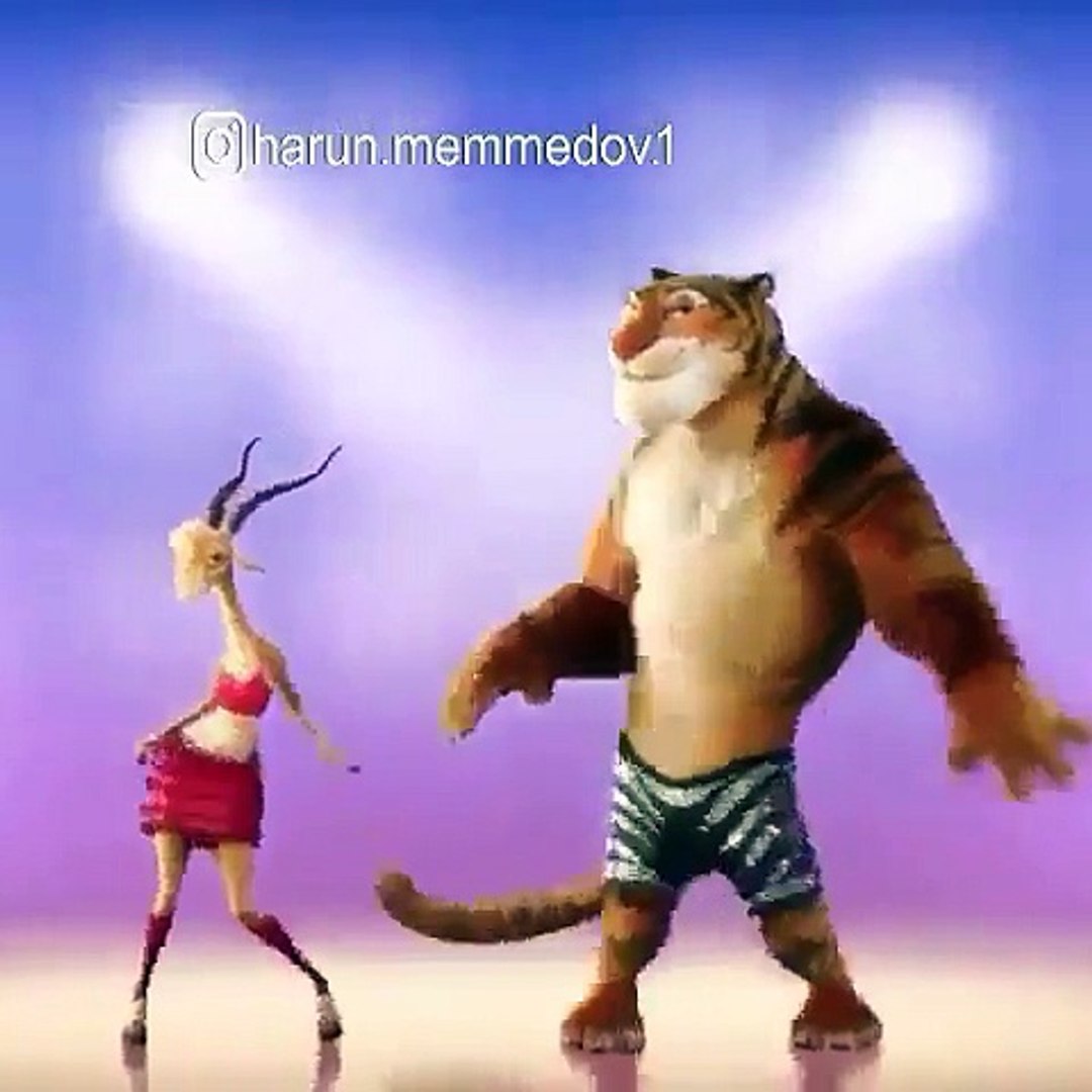 Entertainment