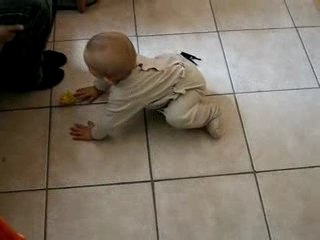 Mon premier 4 pattes (suite)