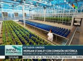 Morgan Stanley recibirá $120 mdd por asesorar en compra de Monsanto