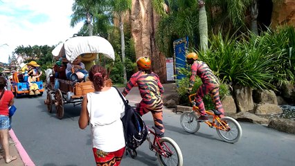 Brazil | Beto Carrero World - Personagens das Apresentações Tema Madagascar