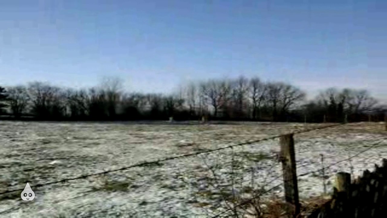 Mama hat Kühe fotografiert