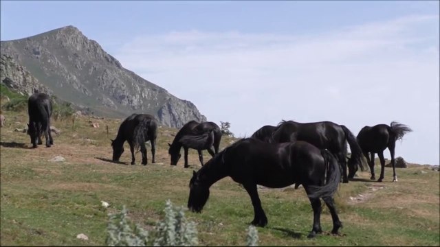 Traversée des Pyrénées - 6ème épisode
