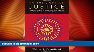 Big Deals  In the Light of Justice: The Rise of Human Rights in Native America and the UN
