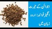 Ajwain Se Wazan Aur Pait Kam Karne Ka Tarika وزن کم کریں In Urdu