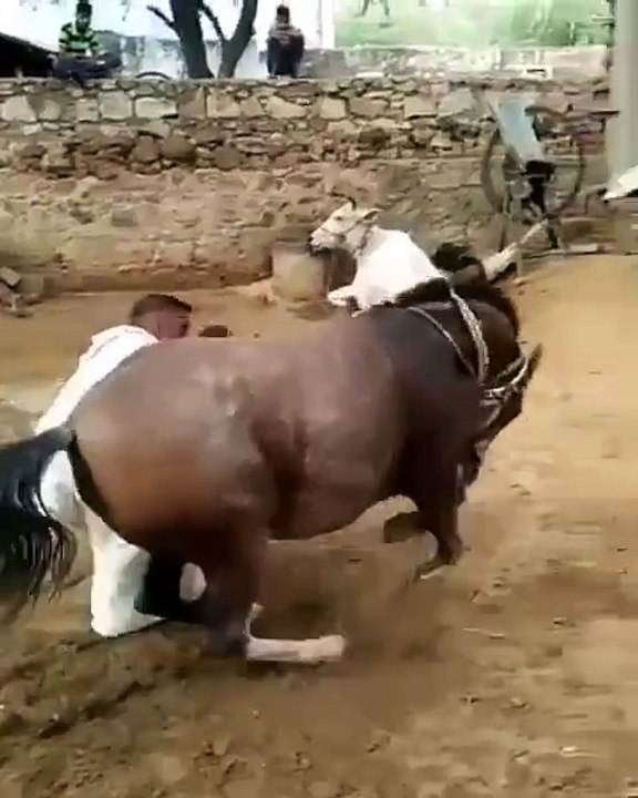 gorhi nachdi