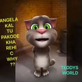 Talking Tom cat and Angela very funny Punjabi video must watch