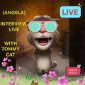 Your question and Angelas answer video with Tommy cat Tom cat and Angela Hindi funny video