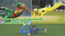Catch video of best catches in cricket history | Amazing catches, sets the new standards of fielding