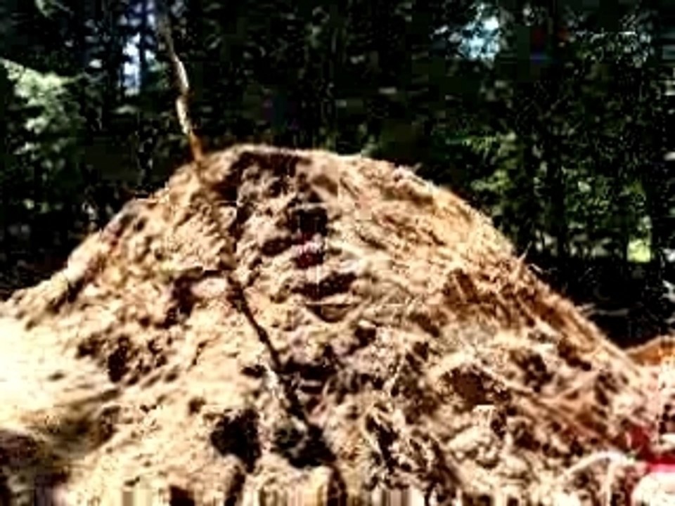 LDG Mountainboard Contest 2007 - 360° grab