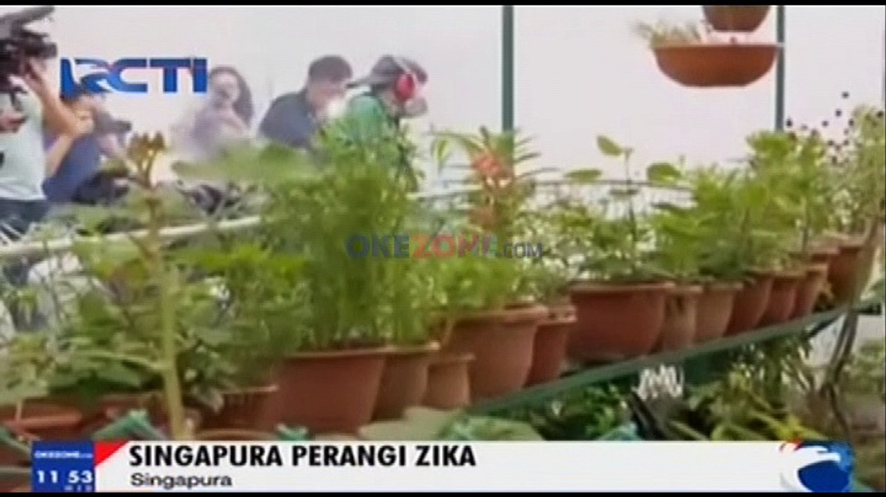 Waspada Virus Zika