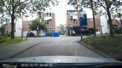 Ce chat a voulu s'attaquer à une voiture! Ahaha