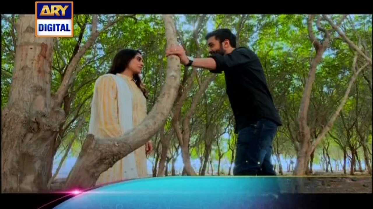 'Mere Humnawa' Tonight at 9:00 pm Only On Ary Digital