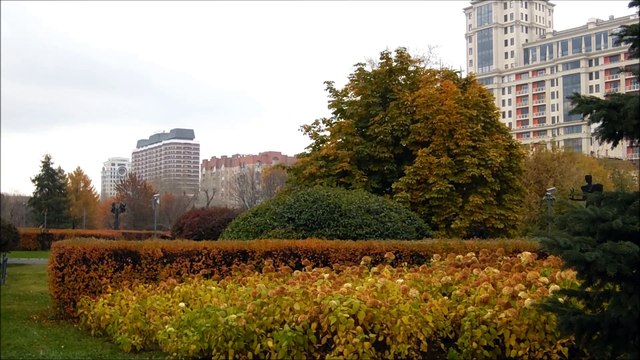 краски осени