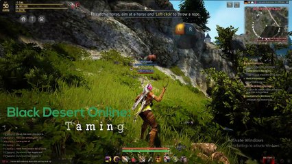 Black Desert Online Taming