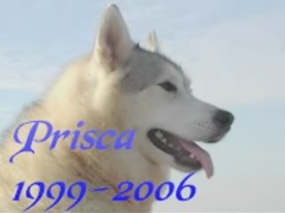 Prisca ricordu