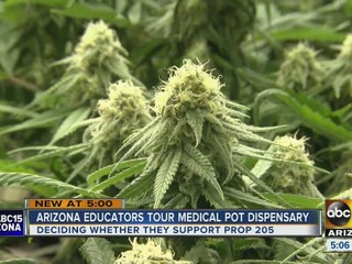 Arizona educators walking around with pot