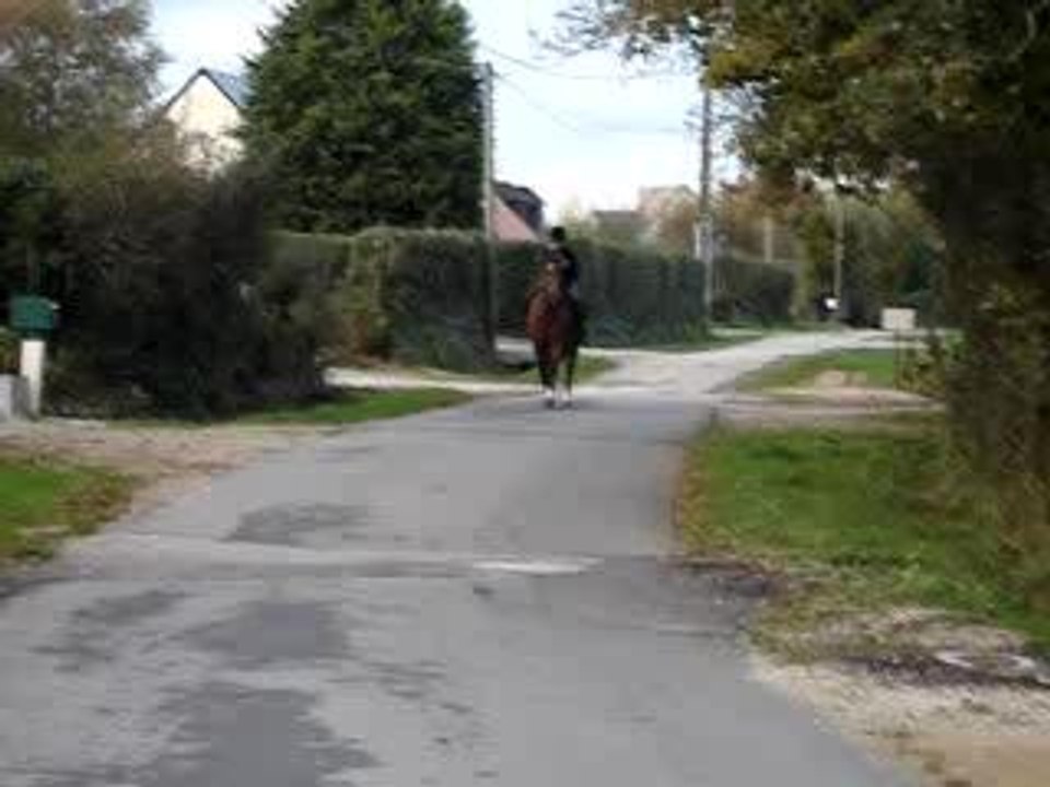 Rigoureuse é marina