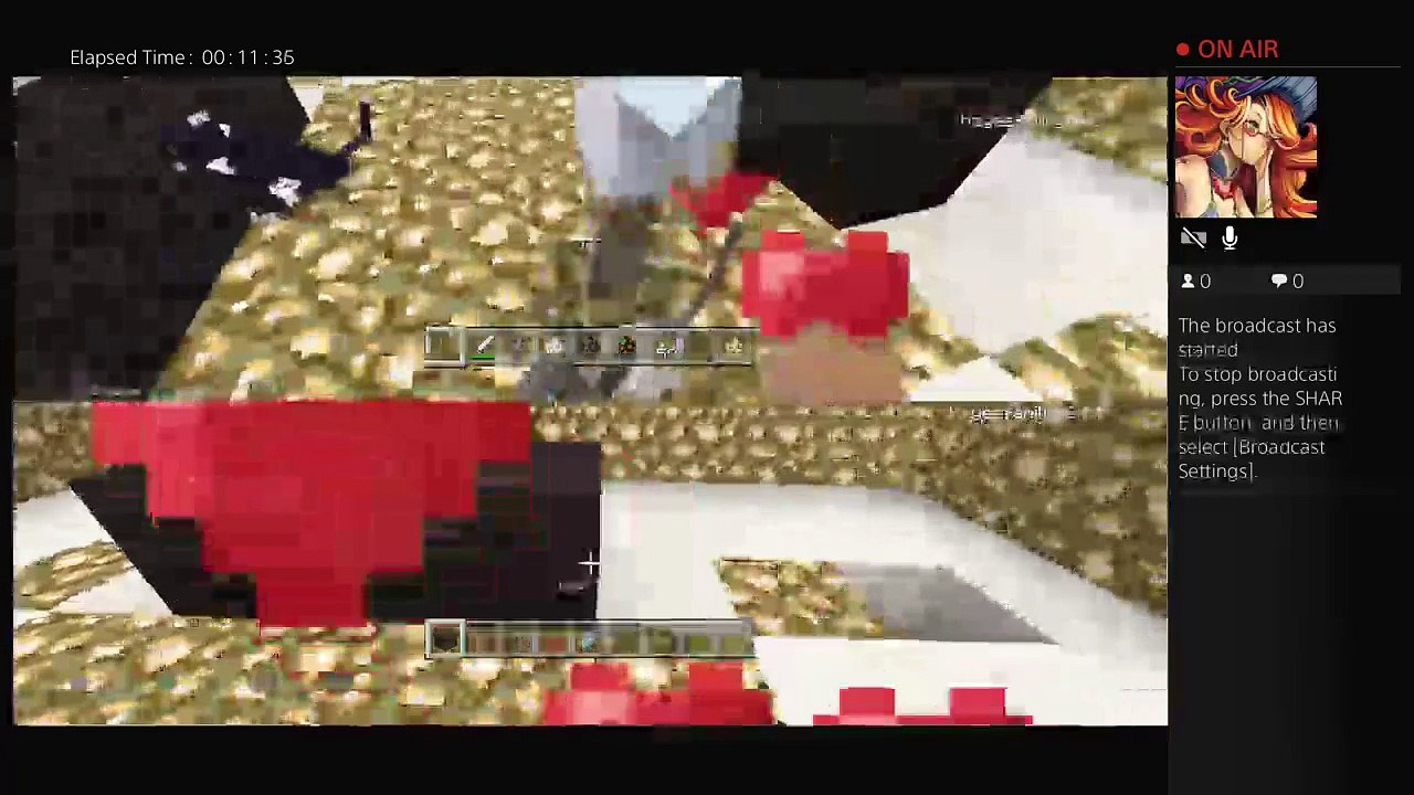 Minecraft with friend (15)