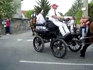 Fete du cheval a Montier en Der