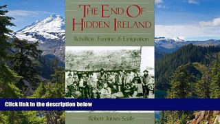 Must Have  The End of Hidden Ireland: Rebellion, Famine, and Emigration  READ Ebook Online Audiobook