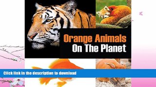 READ BOOK  Orange Animals On The Planet: Animal Encyclopedia for Kids (Colorful Animals on the