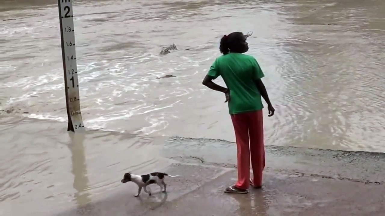 Comment éloigner un alligator ? Avec une Tong!