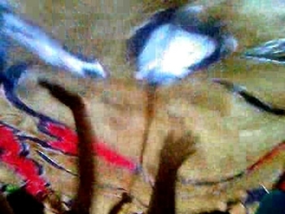 PSG - Sochaux  tifo Boys