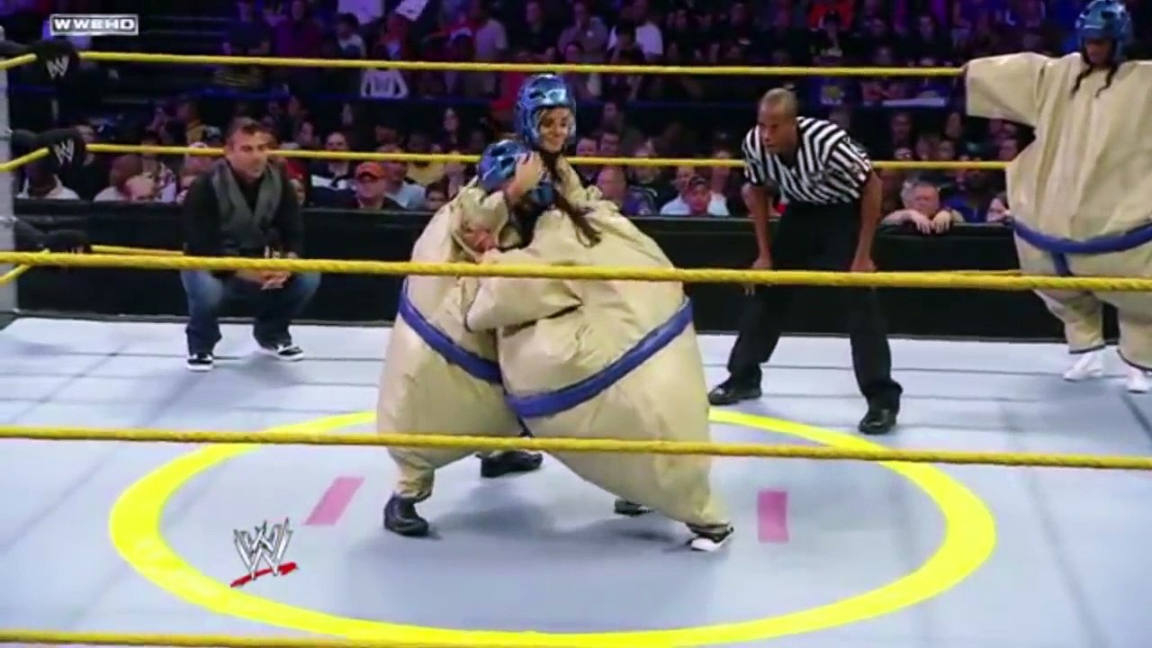 WWE faine moments (dance)