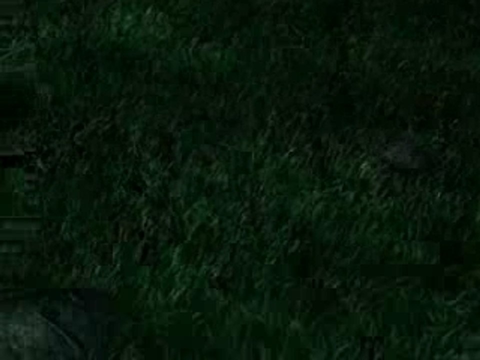 Final Fantasy IX New AMV