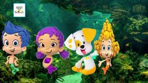 Bubble Guppies Finger Family HD | Bubble Guppies Finger Family Cartoon Animation Nursery Rhymes