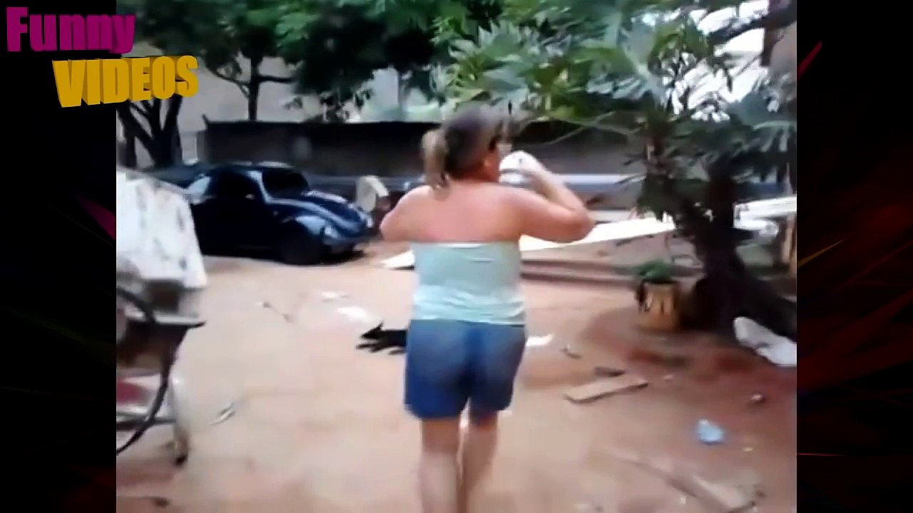 Funny videos 2016 - Funny fails, Funny animals, Funny dogs and cats, Pranks Try not to laugh 2016