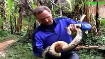 Most Amazing Wild Animal Attacks - Top 10 Giant Anaconda Attacks Human Caught on Camera