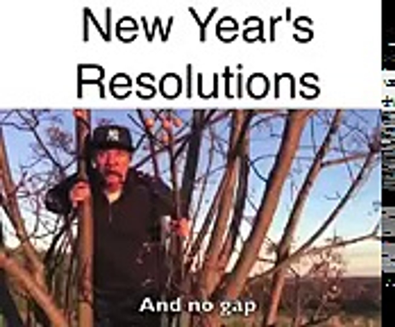 Adele s Hello Song New Year s Resolution In Fitness - Funny