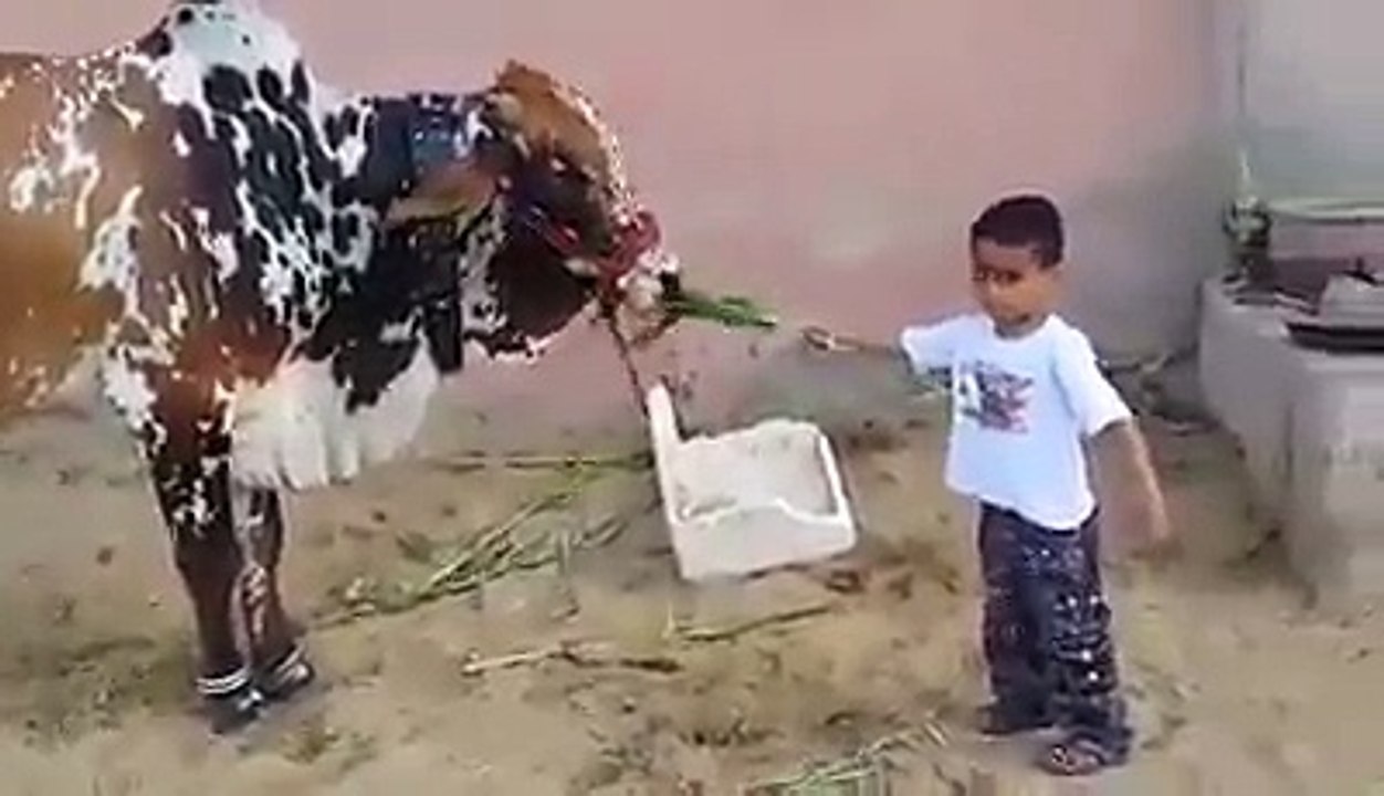 Protect your children from animals danger