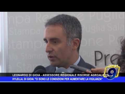 Xylella, l'assessore regionale Di Gioia: Aumenteremo la vigilanza sul territorio